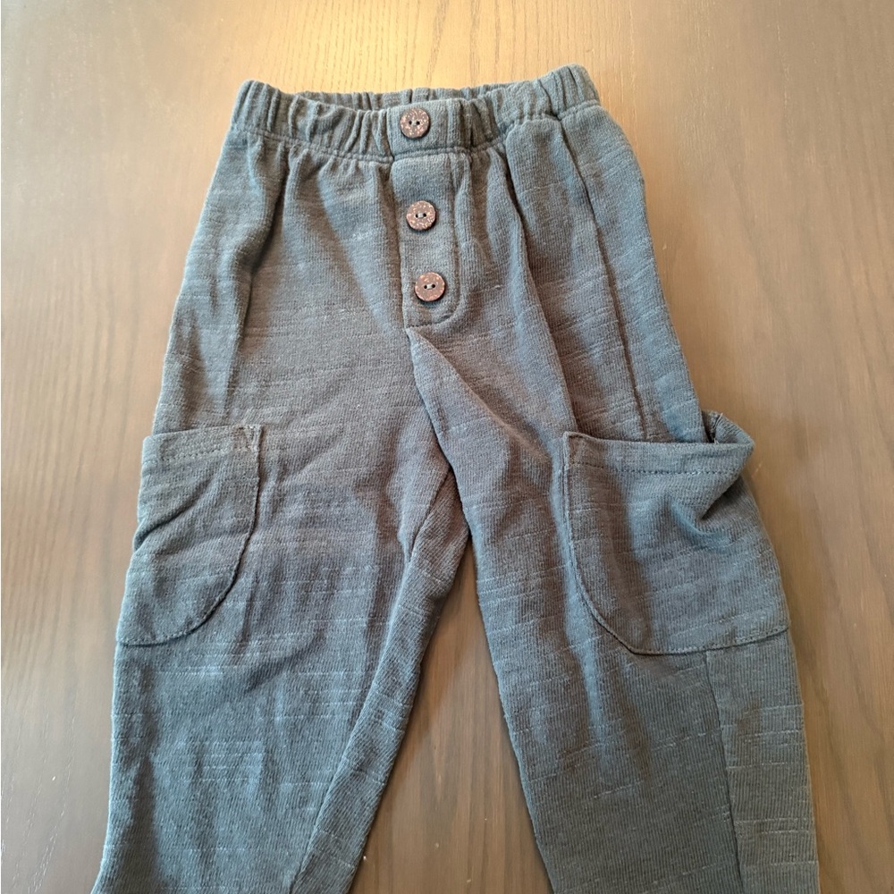 Zara Toddler Boys Blue Gray Buttoned Joggers